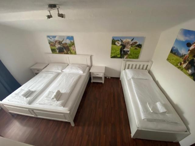 Hotel Wildschuetz Basic Альтмюнстер Экстерьер фото